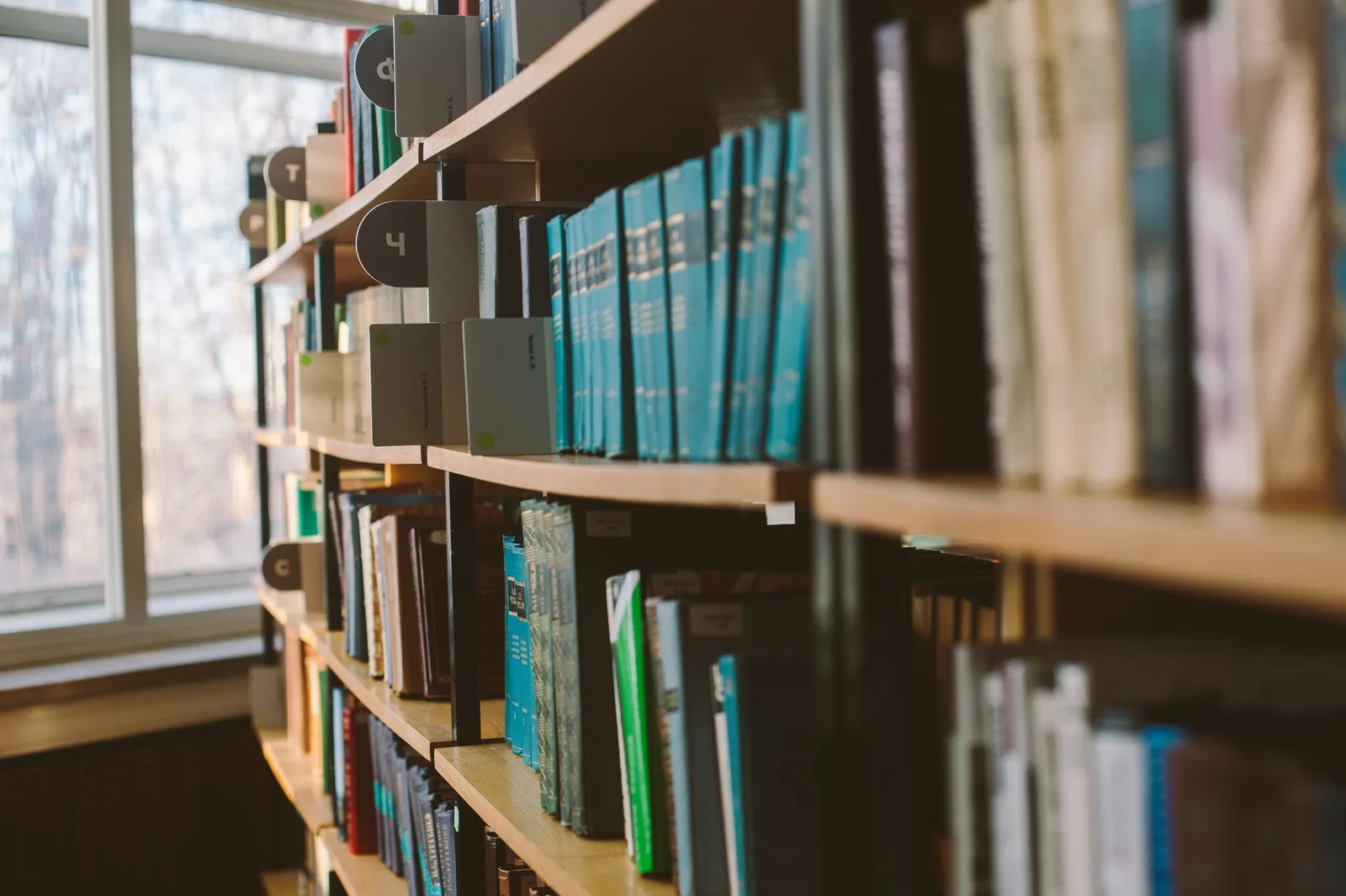Sunlight across shelves of bound legal volumes
